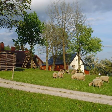 Na Zvonici Guest House Пасеки над Изероу Екстериор снимка